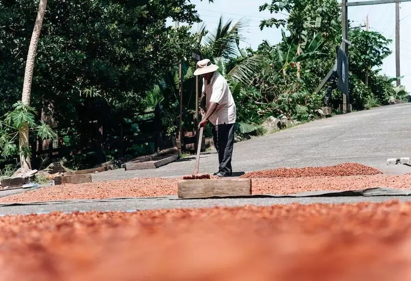 Rabot Hotel From Hotel Chocolat
