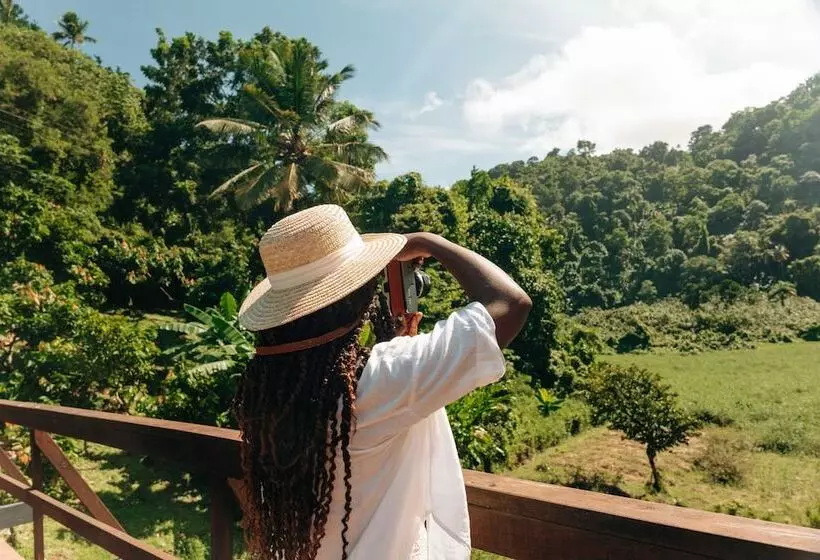 Rabot Hotel From Hotel Chocolat