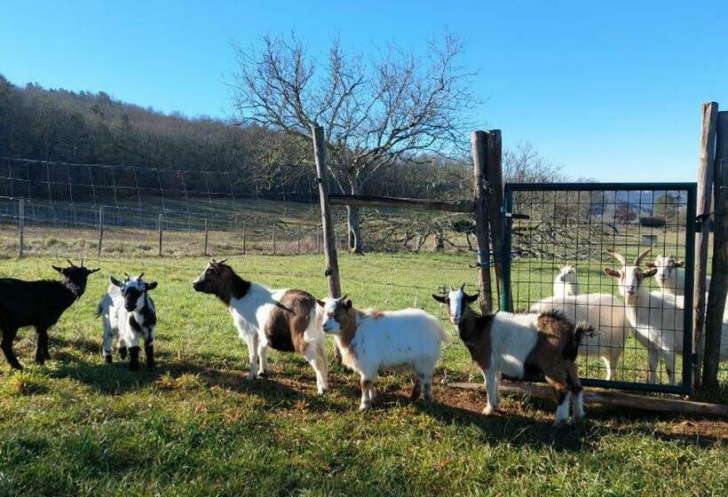 تختخواب و صبحانه Ferme Des Petites Oreilles 4 étoiles