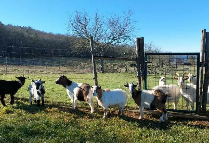 ベッドアンドブレックファースト Ferme Des Petites Oreilles 4 étoiles