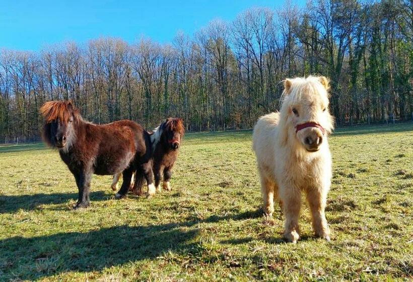 تختخواب و صبحانه Ferme Des Petites Oreilles 4 étoiles