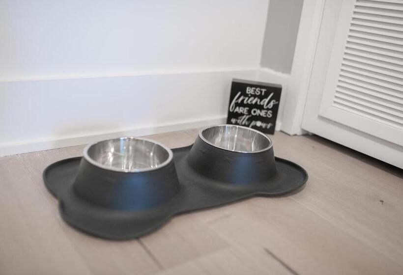 Upscale Rainey St Condo Homes   Peloton, Gym, Rooftop Pool, Wifi Included