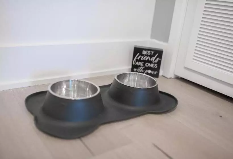 Upscale Rainey St Condo Homes   Peloton, Gym, Rooftop Pool, Wifi Included