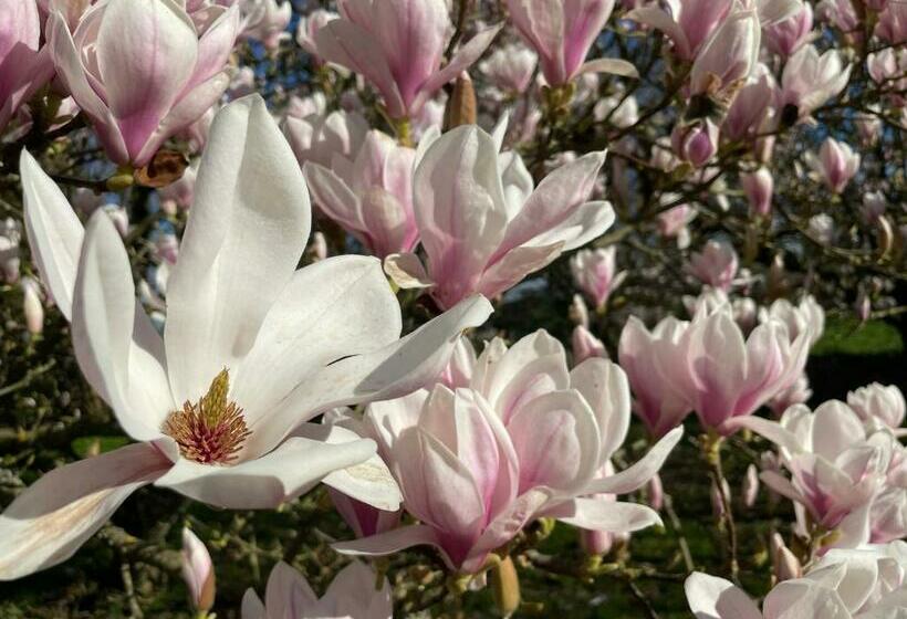 Bed and Breakfast Anelys  Château Du Bocage