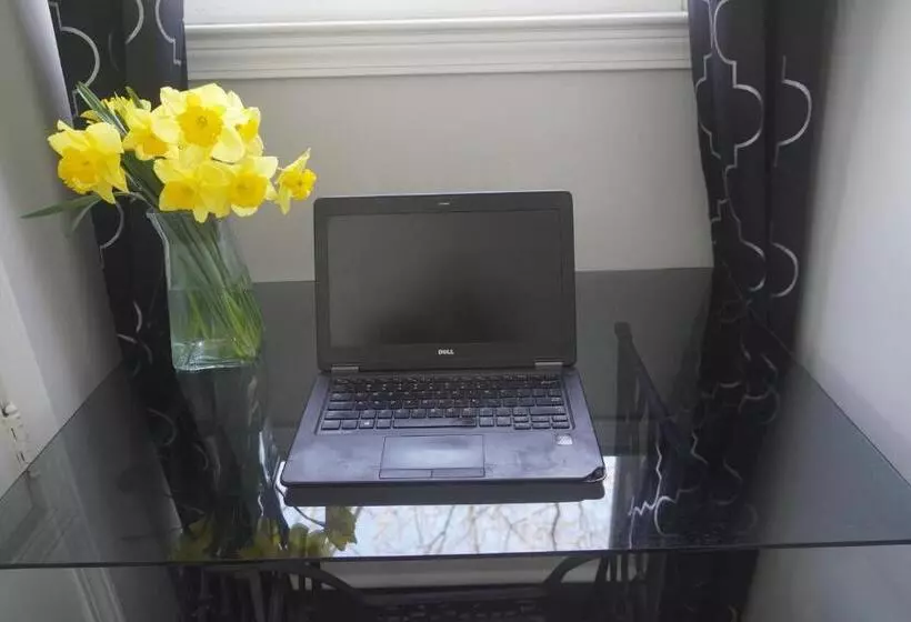 Ekstasis Hostel & Urban Farm