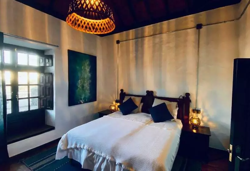 Eco Finca Curbelo   Adults Only