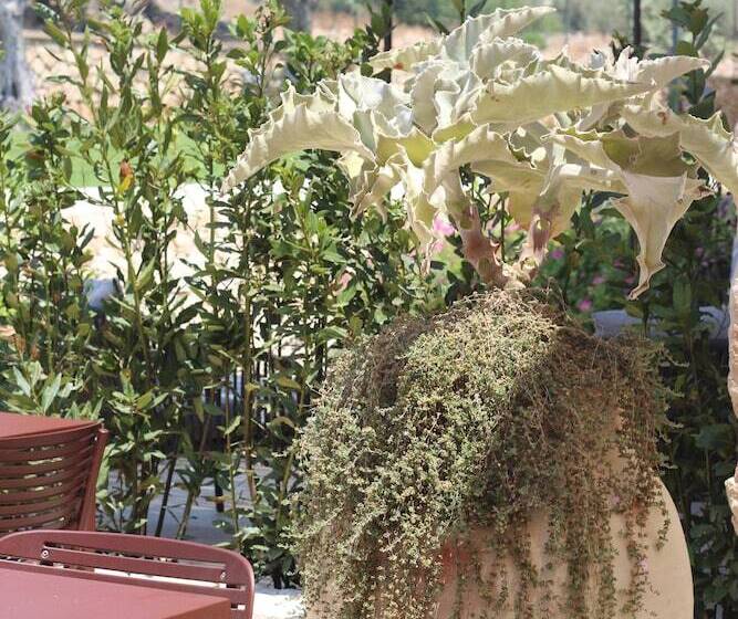 مبيت وإفطار Poggio Leano Boutique