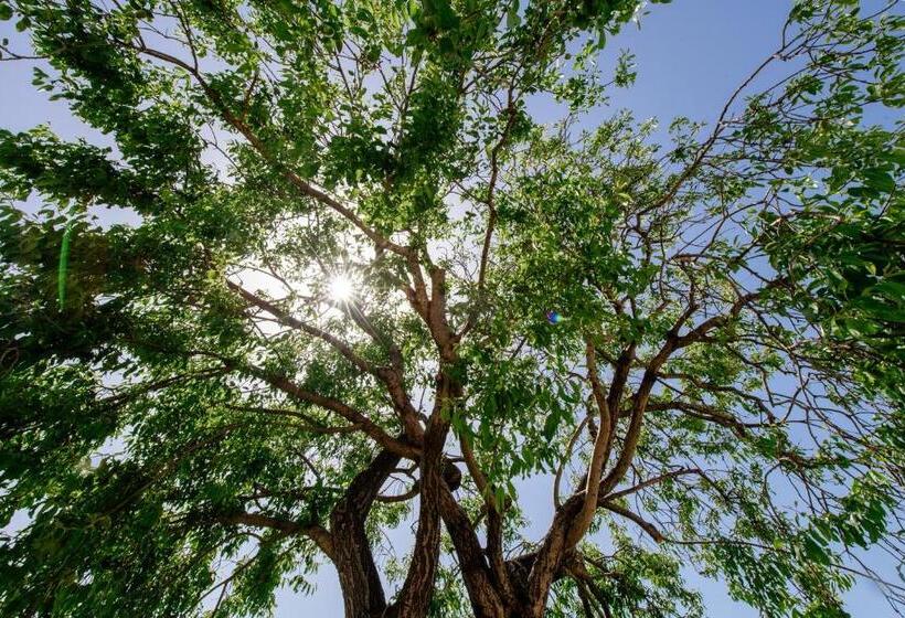 مبيت وإفطار Poggio Leano Boutique