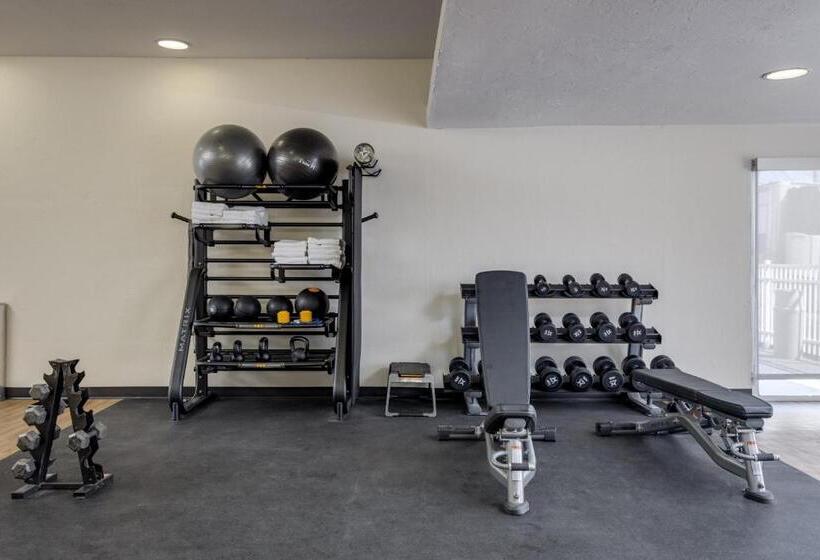 בית מלון כפרי Mysuites Lawton