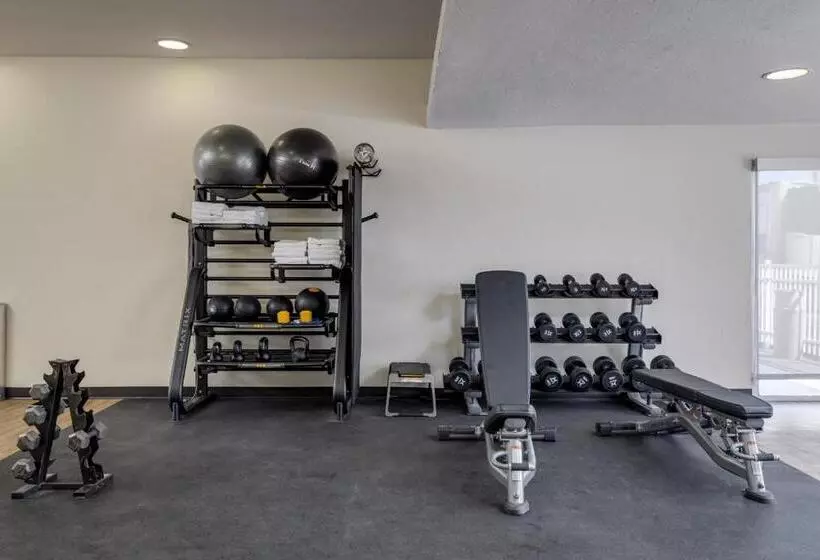 ホテル Mysuites Lawton