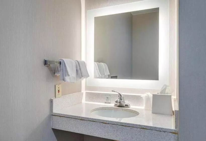 ホテル Mysuites Lawton