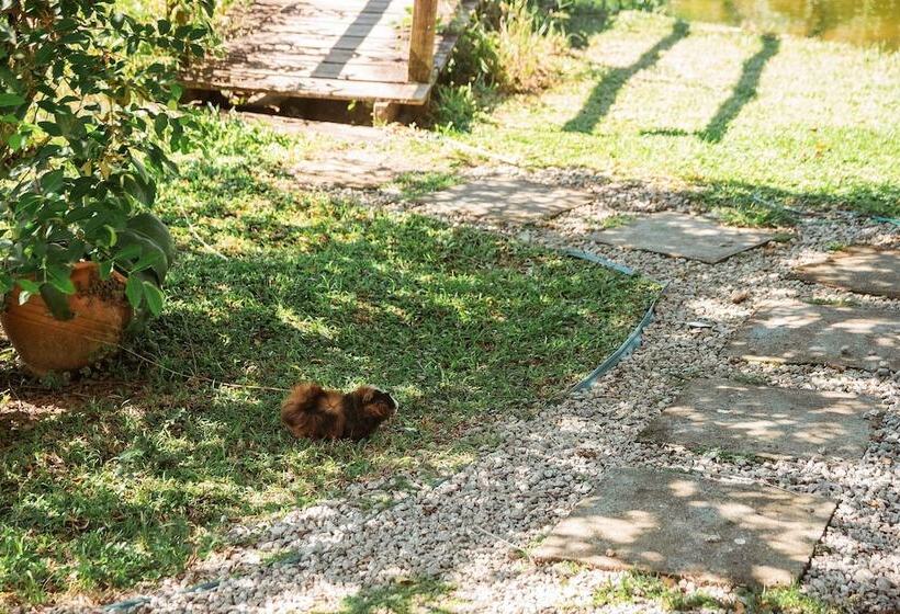 Пансион Pousada Sestrem São João Batista Sc