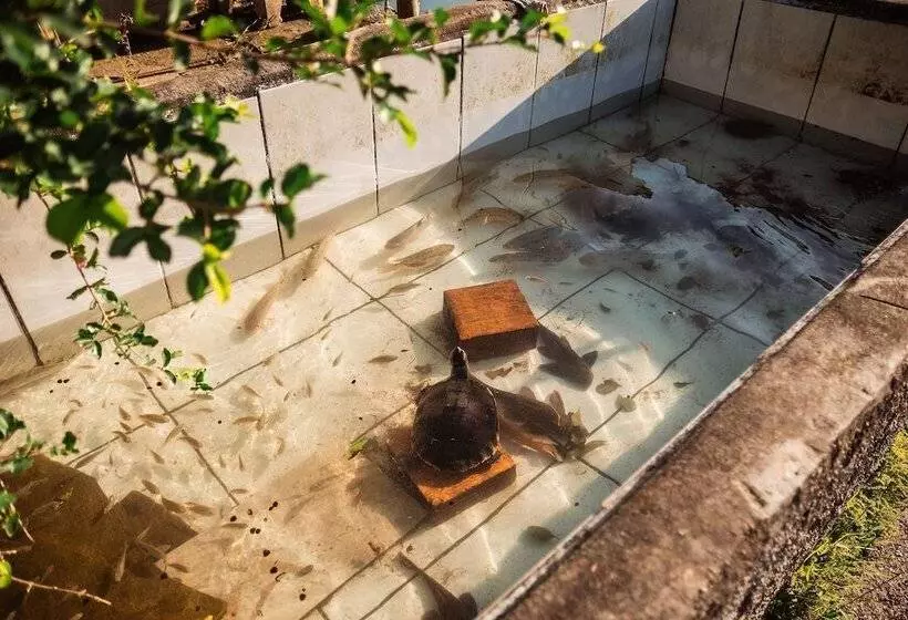 Majatalo Pousada Sestrem São João Batista Sc