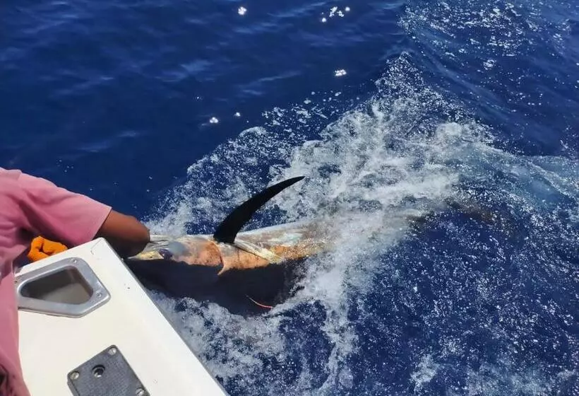 هتل Ocean Sports Resort