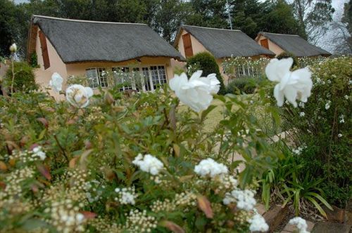 호텔 Woodridge Country