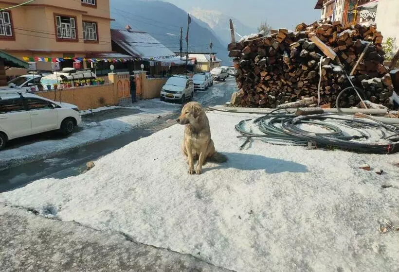 Hotelli The Lachung Inn