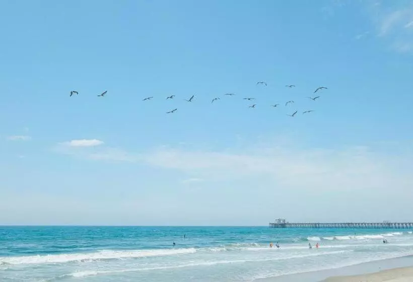 هتل The Marbella