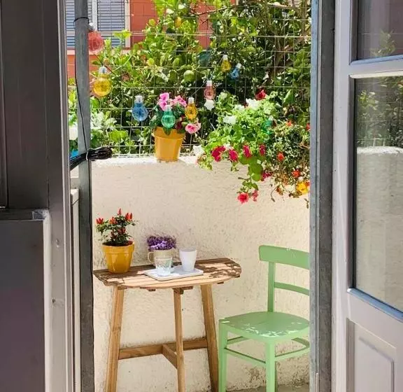 B&b Giallolumia