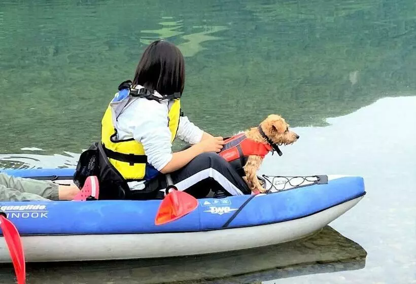 Hotelli 白馬パウダーマウンテン