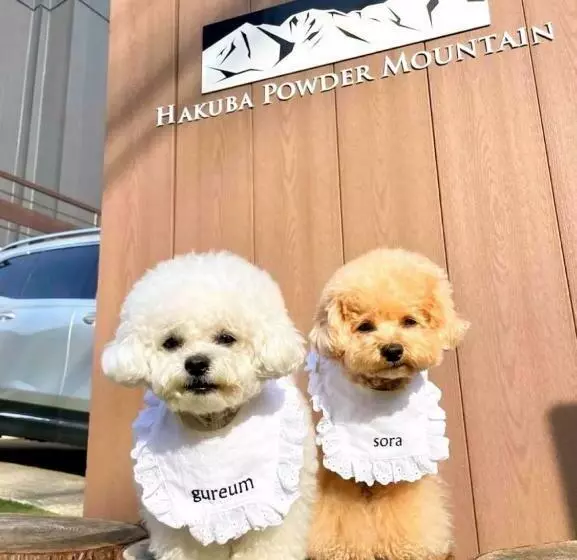 Hotelli 白馬パウダーマウンテン