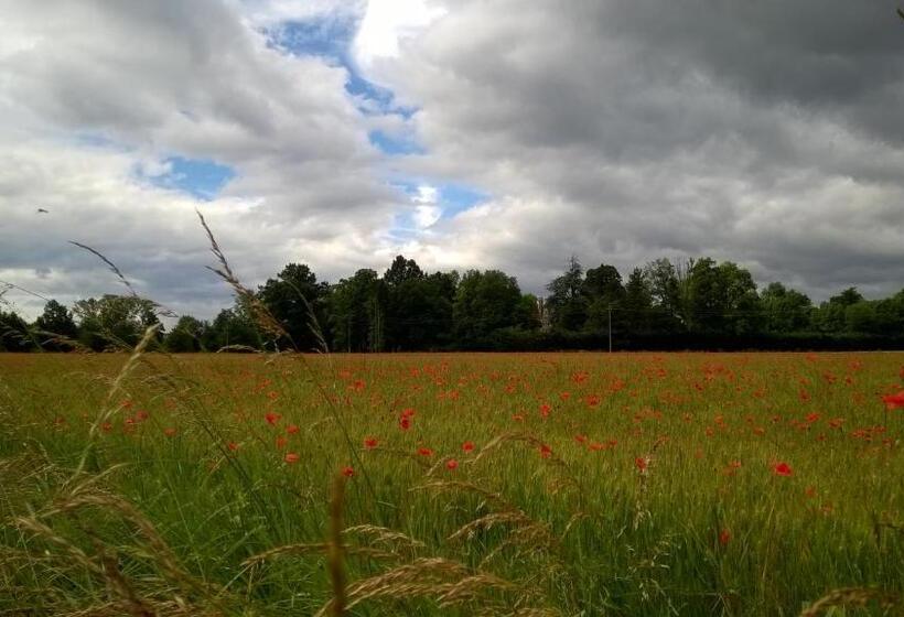 住宿加早餐 Château De La Vernède, La Grande Vernède