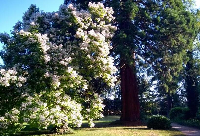 住宿加早餐 Château De La Vernède, La Grande Vernède