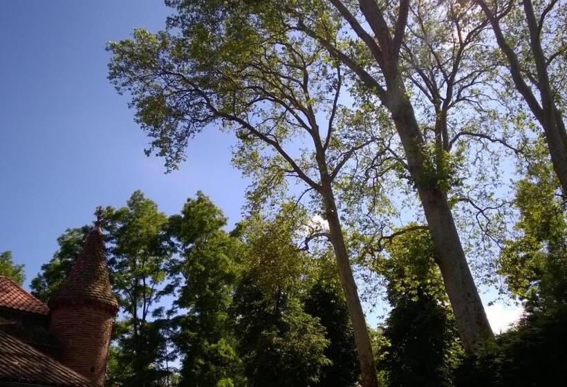 住宿加早餐 Château De La Vernède, La Grande Vernède