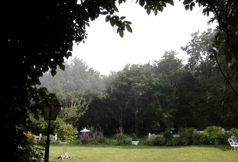 ベッドアンドブレックファースト Manoir De La Dube