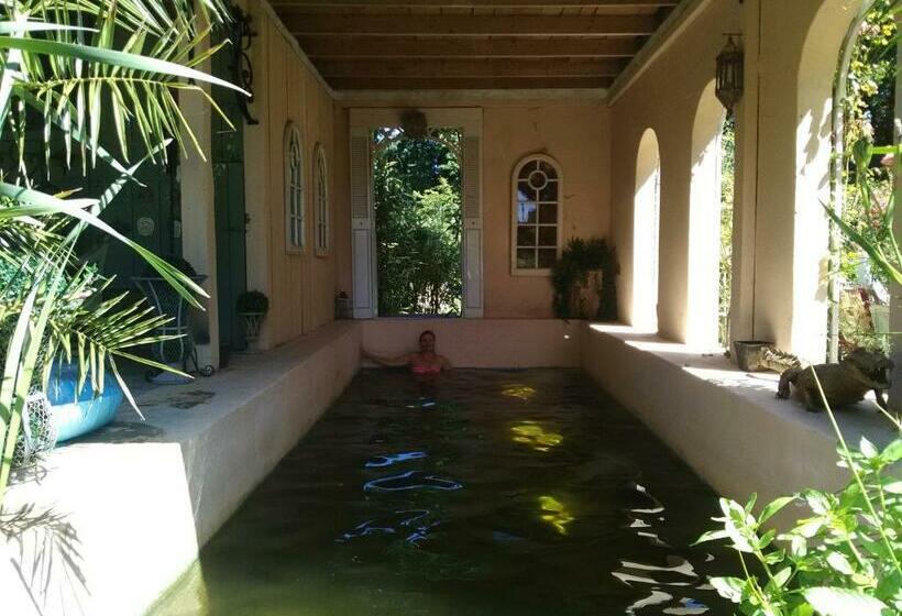 ベッドアンドブレックファースト Manoir De La Dube