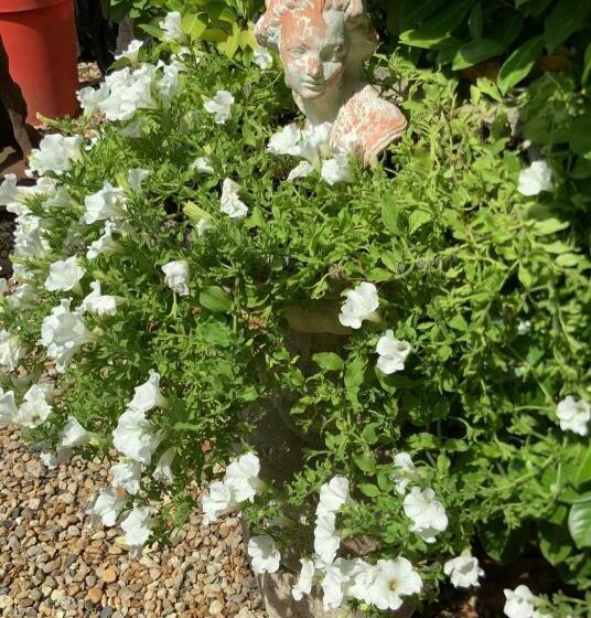 مبيت وإفطار La Grange