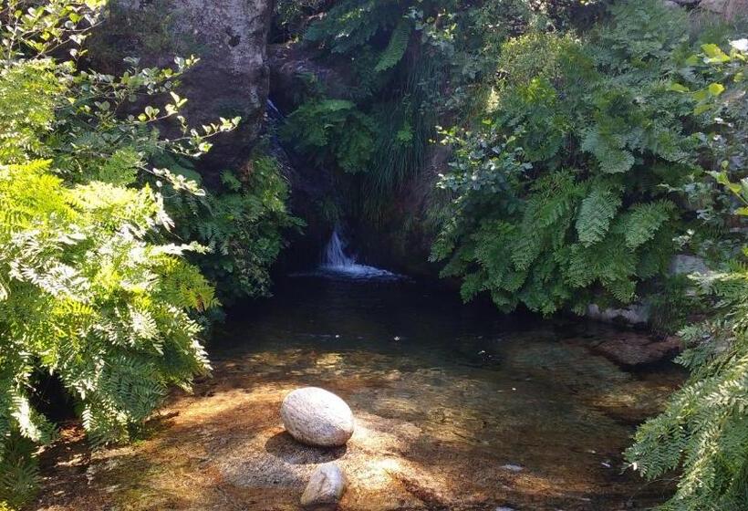 בית מלון כפרי Casa Do Pinheiro Manso
