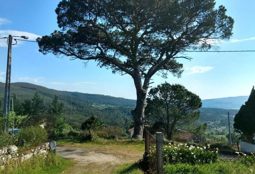 בית מלון כפרי Casa Do Pinheiro Manso