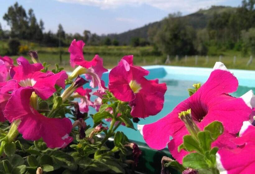 בית מלון כפרי Casa Do Pinheiro Manso