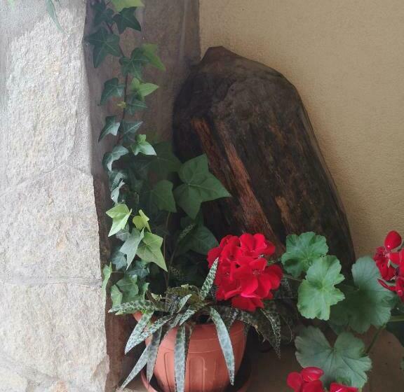 Pansiyon вила свила