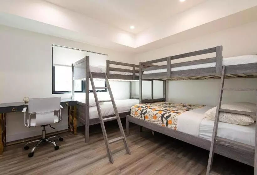 Regency Modern Apartments