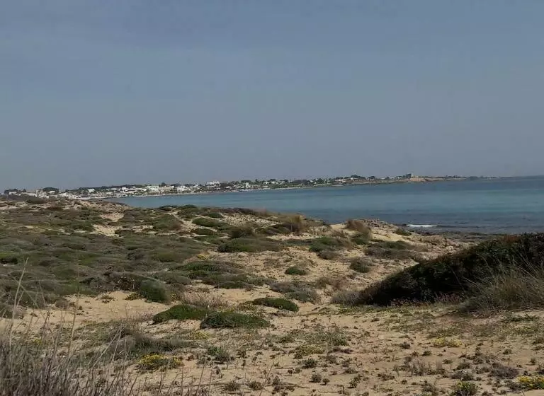 B&b Letizia