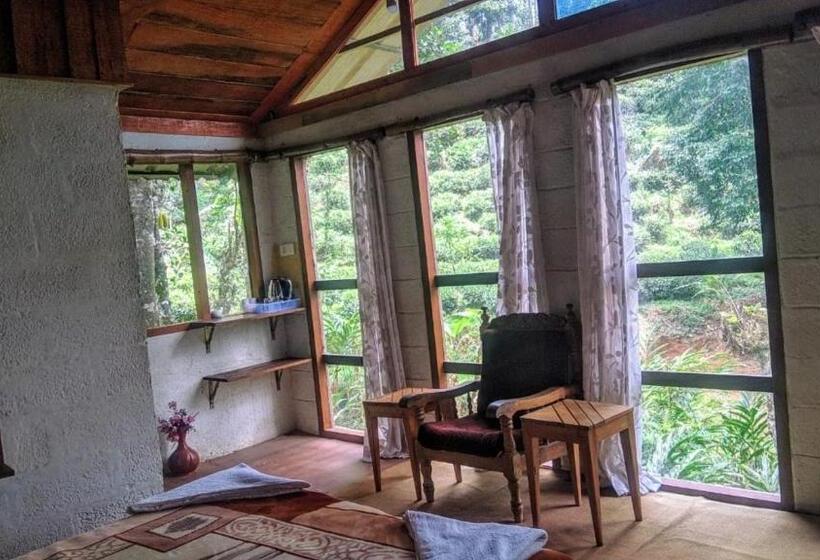 Hotel Jungle Jive Tree House