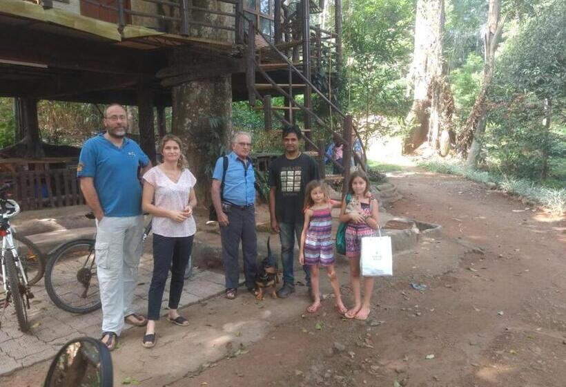 Hotel Jungle Jive Tree House