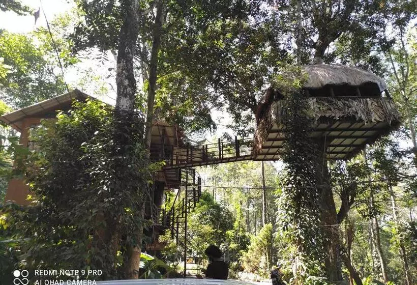 ホテル Jungle Jive Tree House
