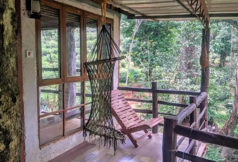 ホテル Jungle Jive Tree House