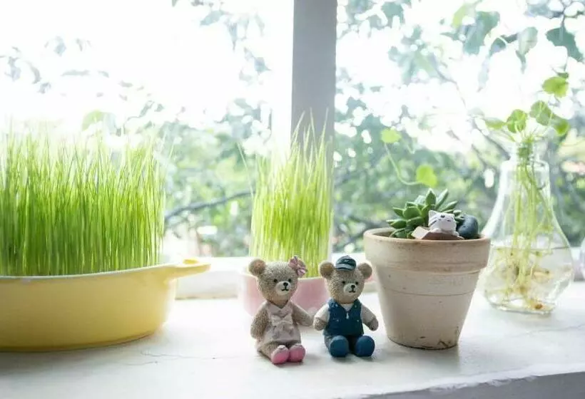 Nguyễn Hoàng Hotel Vũng Tàu