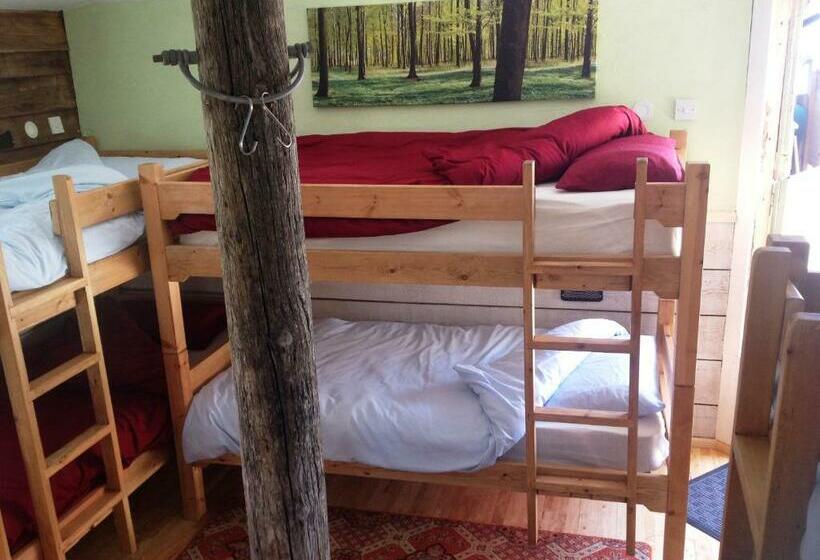 هاستل Eden S Yard Backpackers