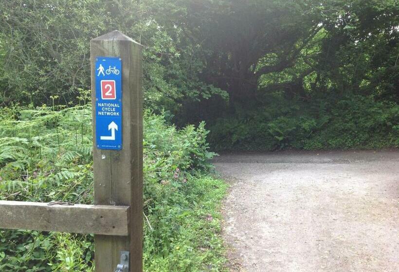 هاستل Eden S Yard Backpackers