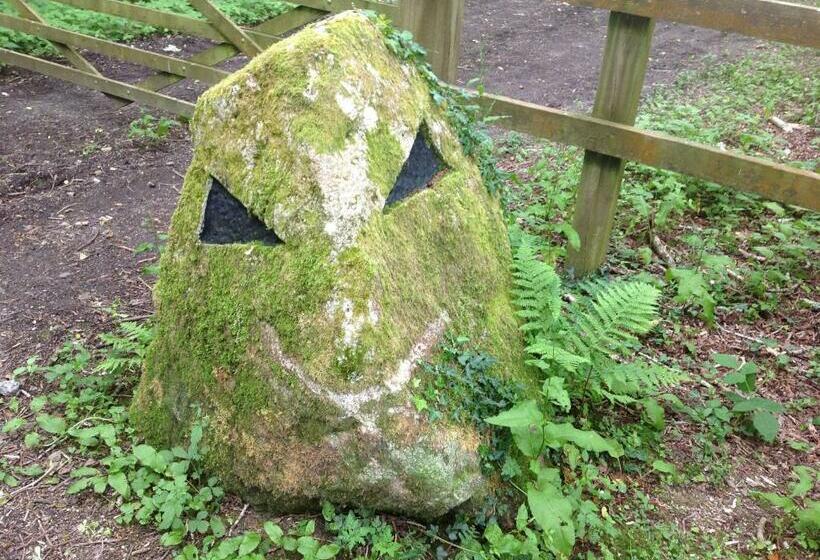 هاستل Eden S Yard Backpackers