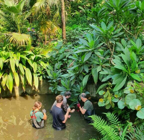 هاستل Eden S Yard Backpackers