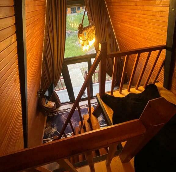 Ay Home Apart&bungalov