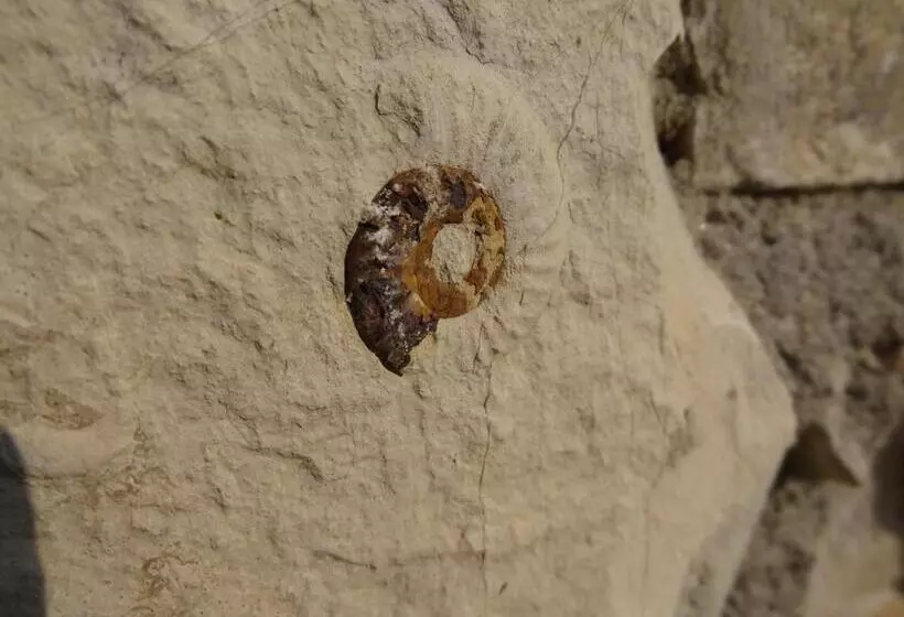 B&b Bergamo E Brescia