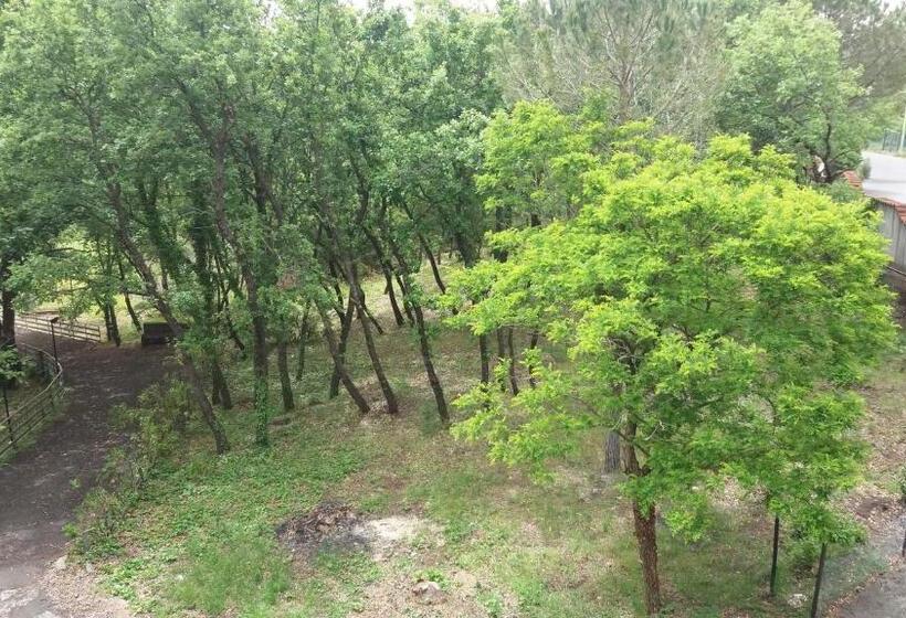 B&b Le Tre Rose Di Maria