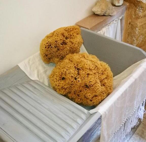 ベッドアンドブレックファースト Zabbara