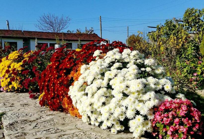 אתר נופש Kosta Bungalows